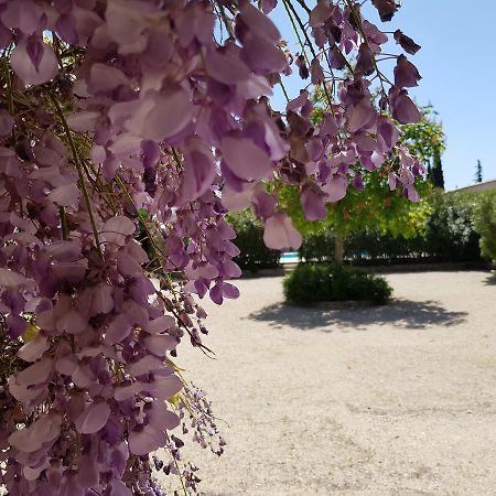 Bed and Breakfast La Pastorale Lagnes Екстер'єр фото